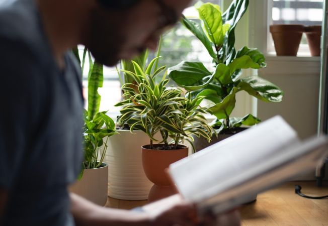 ESG reporting sa od budúceho roka dotkne aj rodinných podnikov, ako sa na to pripraviť? 